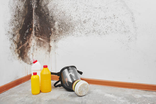 Best Toxic Mold Removal  in Mooresville, NC