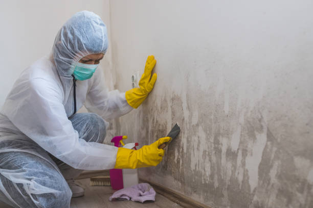 Best Local Mold Removal Service  in Mooresville, NC