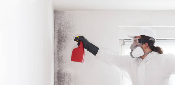 Best Home Mold Removal  in Mooresville, NC
