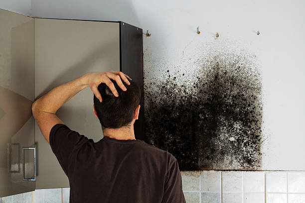 Best Mold Testing  in Mooresville, NC