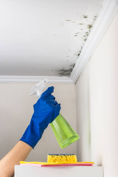 Best Mold Cleaning Services  in Mooresville, NC